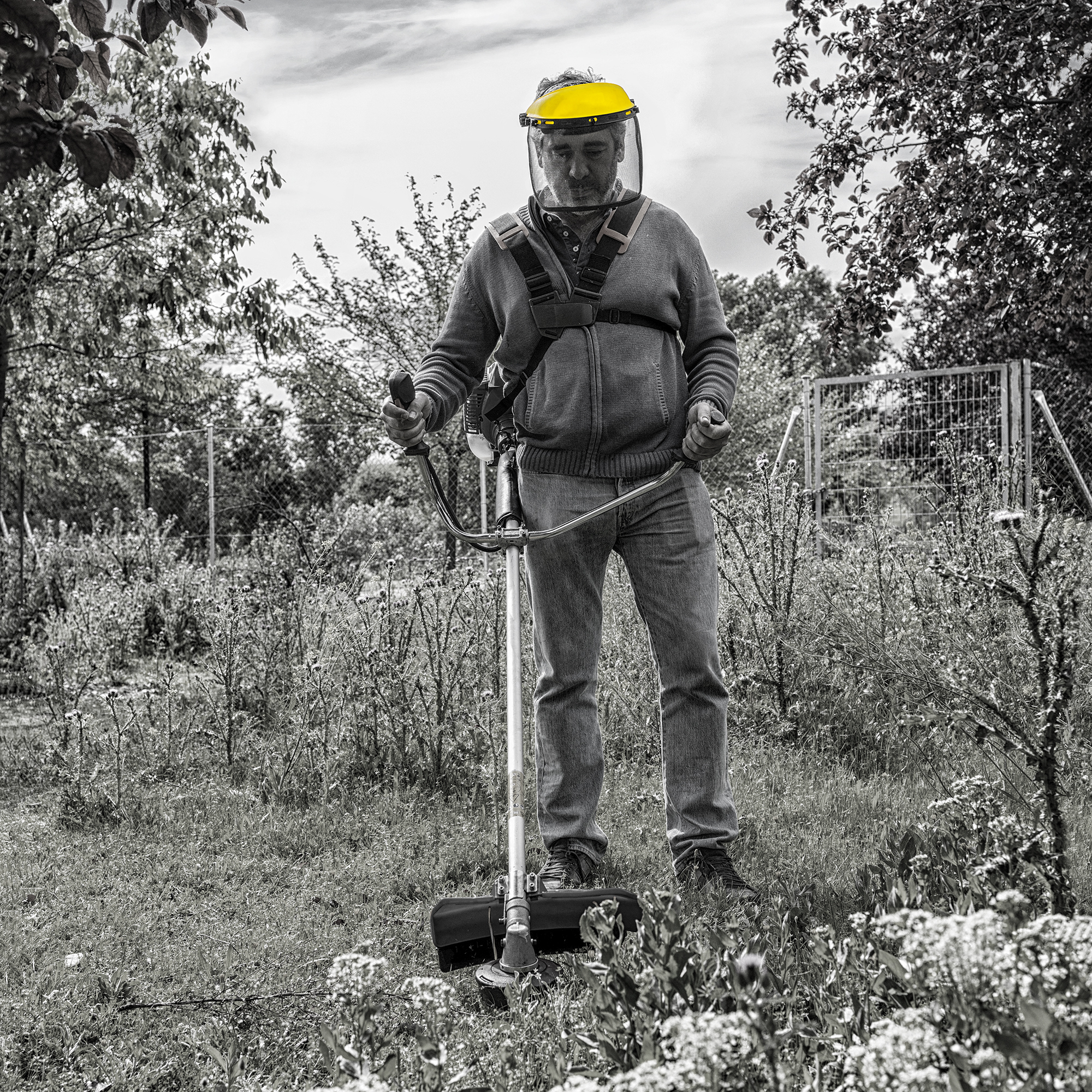 Talon Petrol Brush Cutter CUPRA 42cm³ - Image 2